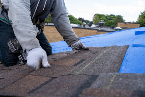 Best Flat Roof Repair Services  in St Ansgar, IA