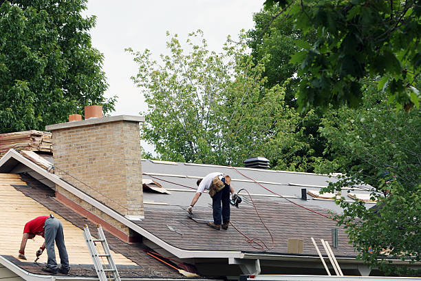 Best Roof Gutter Cleaning  in St Ansgar, IA