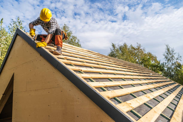 Roof Gutter Cleaning in St Ansgar, IA