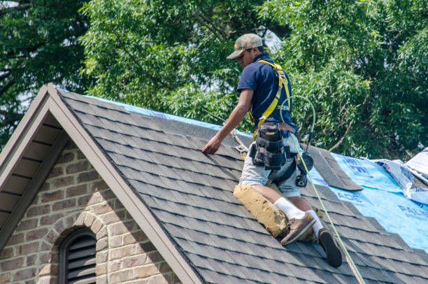 Best Local Roofing Companies  in St Ansgar, IA